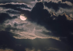 八字在线测算_丙子年出生知足才能常乐