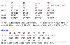 八字在线测算_我女儿的八字在甲木年运势如何