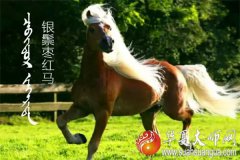 2020年鼠年下半年属马的人运势怎样？属相运势每月运势详解！