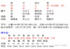 四柱八字排盘_此八字2020年走壬戌大运为人聪明可聚财