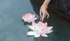 生辰八字算命_格局的高低不仅要看成格的字是有情还是无情_还要看是否有根有