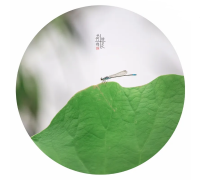 八字在线测算_八字看今年偏财运好不好