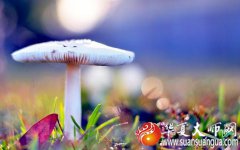 今日运势测算_2020年农历七月二十八喜神在什么方位？