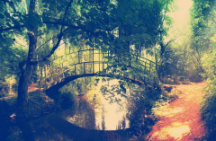 八字算命法_八字解析容易被骗的人有什么共同点