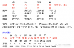 周易八字测算_八字解析丁卯年出生的人为何事业上会容易受阻