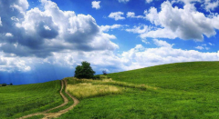 阴历生辰八字算命_今年秋冬有情缘长久活力四射特征的八字