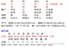 八字算命法_1995年学医女生测算事业上突破的可能性及算命感情