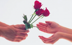 在线合婚_当单身狗的八字走桃花运时！桃花星的查法！