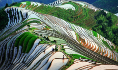 八字算命法_解析八字神煞之一金羊禄