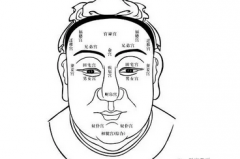 风雅颂易经网_面相解析父母宫福德宫女儿宫各自代表什么？（算命先生解析）