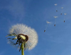 生辰八字算命_去年投资失败_财运上什么时候才能有转机?(算命先生解析)