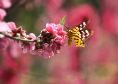 周易八字测算_八字大运详细讲解（算命先生解析）