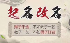 周易起名_2020年7月8日出生的宝宝八字算命起名（图解）