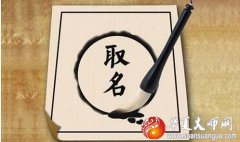 易经起名_2020年7月7日出生的宝宝生辰八字起名（图解）