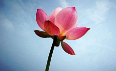 风雅颂易经网案例_美女教授，也有丈夫“出轨”的烦恼（算命先生解析）