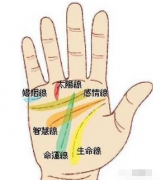 手相算命_解析手相八卦十二宫（算命先生解析）