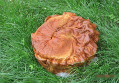 生辰八字分析_解析太岁之游行太岁的命局如何（算命先生解析）