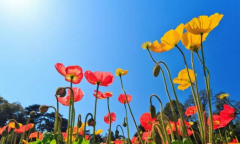 风雅颂易经网_不同的命局造就不同的人生_想知道自己的财运在哪么？（算命先