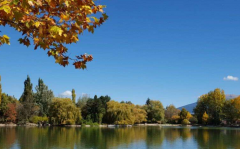 阴历生辰八字算命_透视高官的命理玄机(算命先生解析)