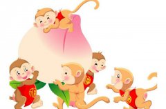 2016年出生的属猴人命运怎样？时辰八字查询哪个月份出生好（图解）