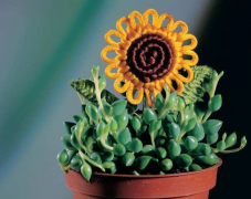 风雅颂易经网_解析大运流年与命局的作用关系（算命先生解析）