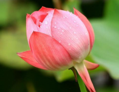 风雅颂易经网_八字与星座是有不谋而合的关系（算命先生解析）