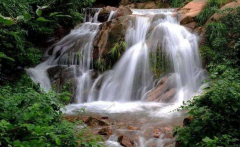 生辰八字分析_简介十二地支与因缘果的关系（算命先生解析）