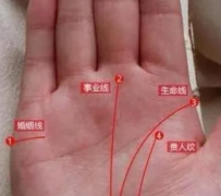 看相算命图解_没有事业线的人并非是无法发展事业（算命先生解析）