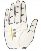 风雅颂易经网_解析​成功线的看法（算命先生解析）