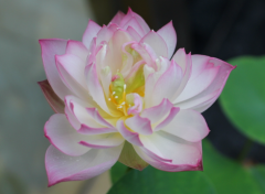 算命先生解析_八字命盘中偏印的贫穷论