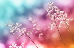 算命先生解析_你知道什么是旺相死囚休么？