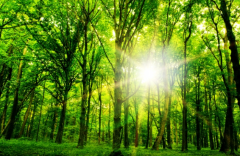 八字命理学_八字如何看那类人易患心脏病（算命先生解析）