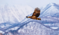 八字命理学_八字十神简单看固执的人[案例]