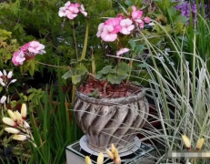 生辰八字分析_举例解析官旺顺用印比官运亨通[案例]