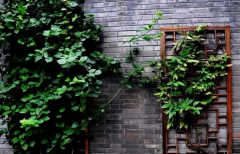 相面算命_如何从孩子的面相看婚姻好不好[案例]