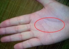 看相算命图解_卧蚕手必富有 的发大财手相！[案例]