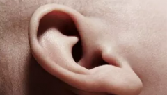 如何从耳朵看人的性格和财富？（看相算命图解）