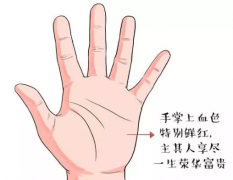 看相算命图解_拥有这几种手相的人一生富贵双全！