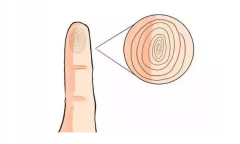看相算命图解_从小指的指纹看你晚年的命运(图解)