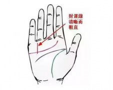 看相算命图解_手上有此纹必是有钱人！（手相）