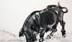 属相运势_不败家不变心不显老的4大生肖女有你么？（生肖女）