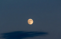 生辰八字分析_八字看哪类人性格叛逆(性格)