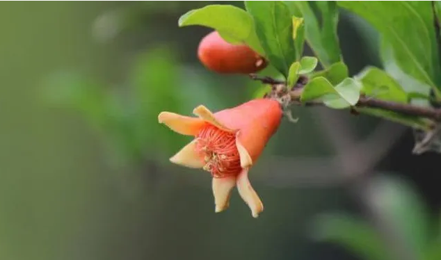 1595665776106288.png blob.png