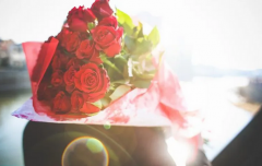 十二生肖运程_解析8月喜上眉梢姻缘将至的四生肖(婚缘)