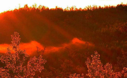 1595666593545513.png blob.png