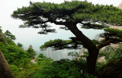 奇门遁甲术_对商店工厂转让或转租（奇门）