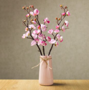 周易算命面相_怎么通过面相看财运？(面相算命)