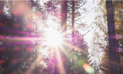 算命先生论十神之_伤官