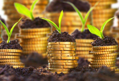 十二生肖运程中心态好的5大生肖(性格)