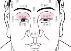 看相算命图解_有这3颗吉痣的人注定一生好命（图解）